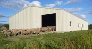 Steel Farm Buildings