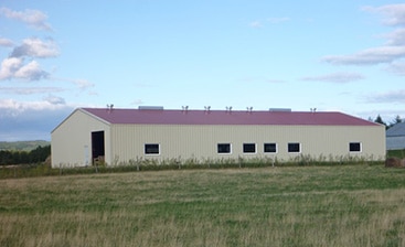 Advantages of Pre-Fabricated Steel Agricultural Storage