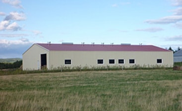 Utilizing Steel and Metal Buildings for Agriculture