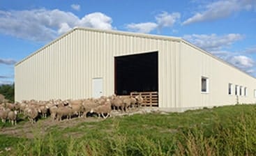 Pre-Engineered Steel Buildings Are Ideal for Use on The Farm