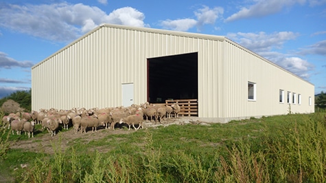 Metal Agriculture Buildings