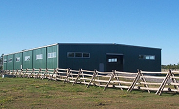 Is Steel the Best Choice for Agricultural Buildings?