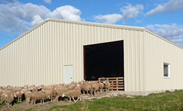 Is Steel the Best Choice for Agricultural Buildings?