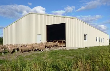 steel buildings in Idaho