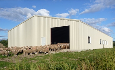 How to Keep Your Steel Farm Building Cool in Summer