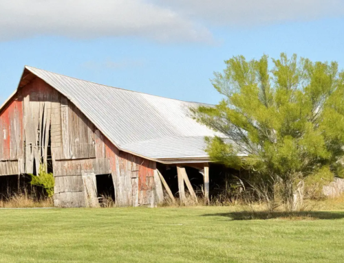 Pole vs Steel Barn: What You Should Know